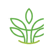 TrueBliss Medical